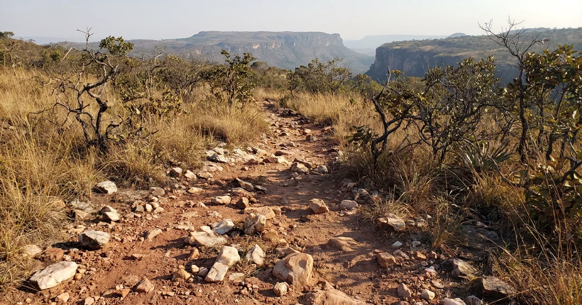 Trilha de pedra e cerrado dourado na Chapada dos Veadeiros ao nascer do sol