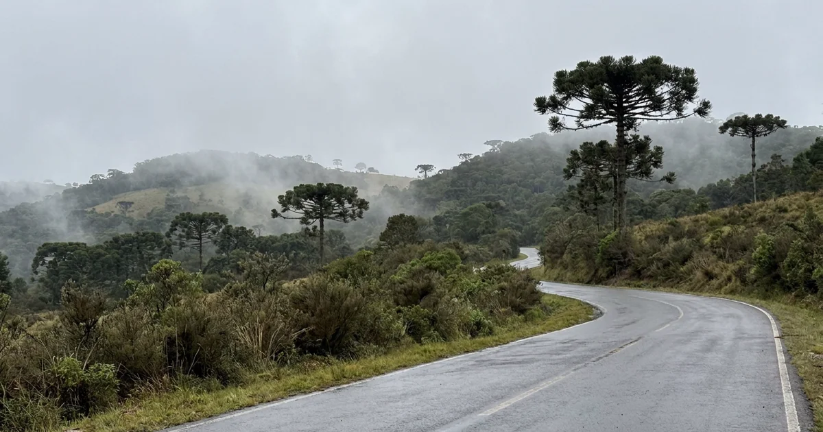 Estrada rural em Urubici com araucárias, neblina baixa e montanhas da Serra Catarinense ao fundo